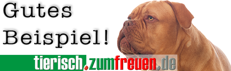 passende Domain finden